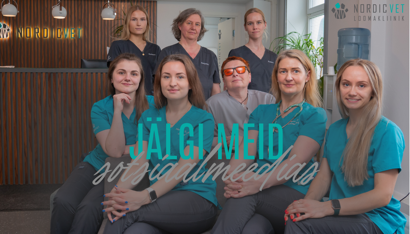 jälgi meid sotsiaalmeedias