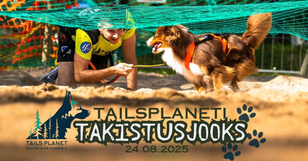 Koerte takistusjooks Kõrvemaal