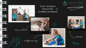 loomakliinik Tallinna südames