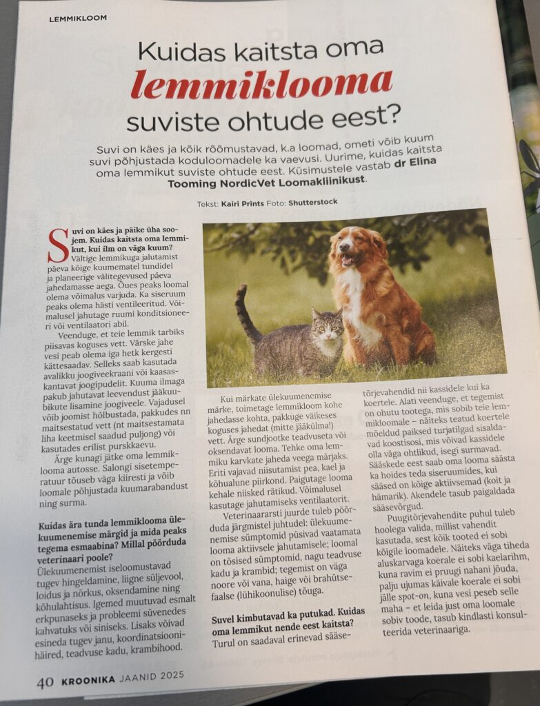 Artikkel ajakirjas Kroonika Jaanid