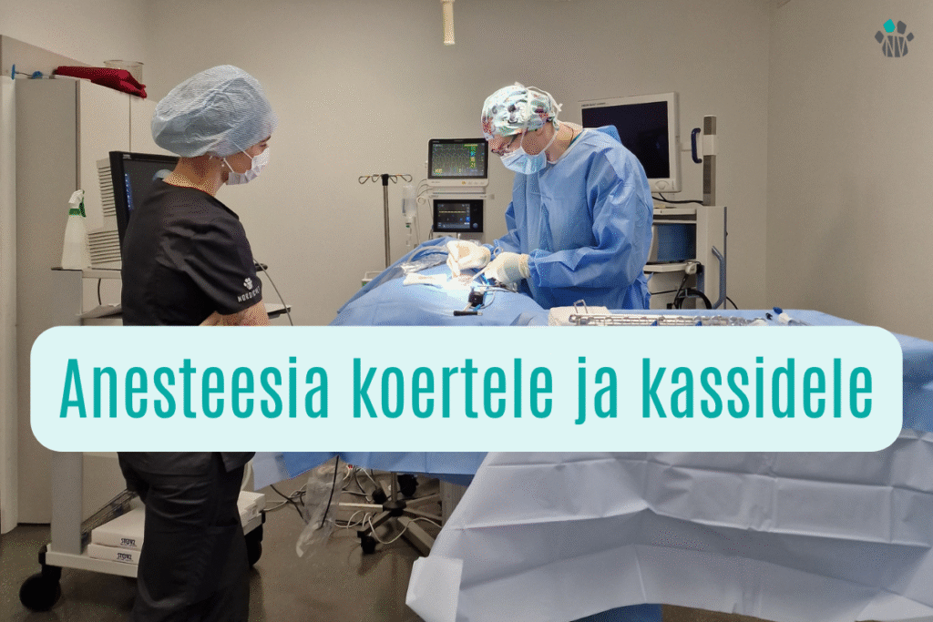 Anesteesiast
