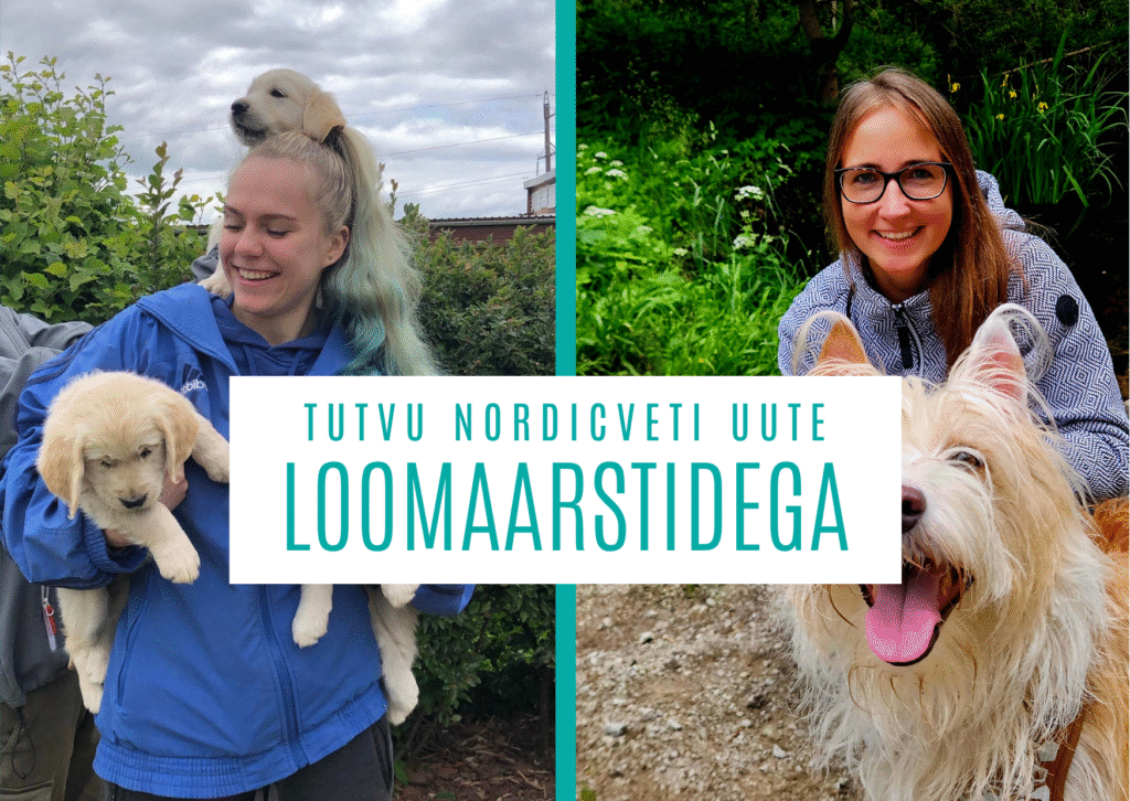 uued loomaarstid nordicvetis