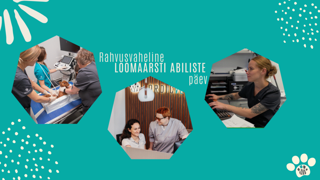 loomaarsti abiliste päev