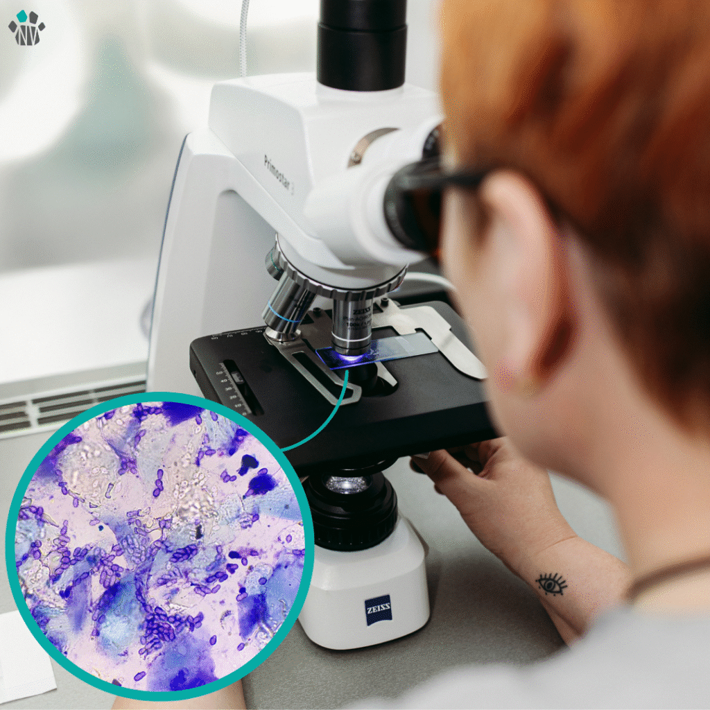 mikroskoopia - AMR nädal