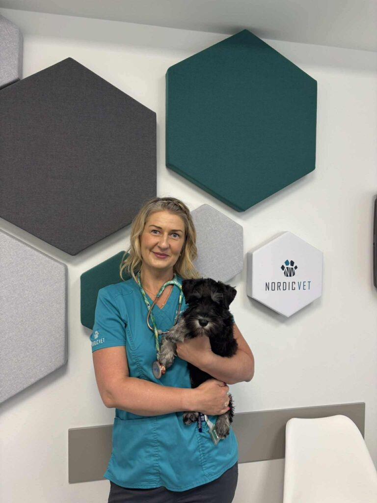 veterinaarmeditsiini päev