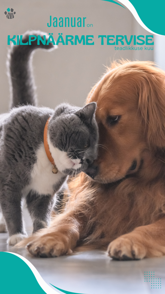 Jaanuar – kilpnäärme tervise teadlikkuse kuu