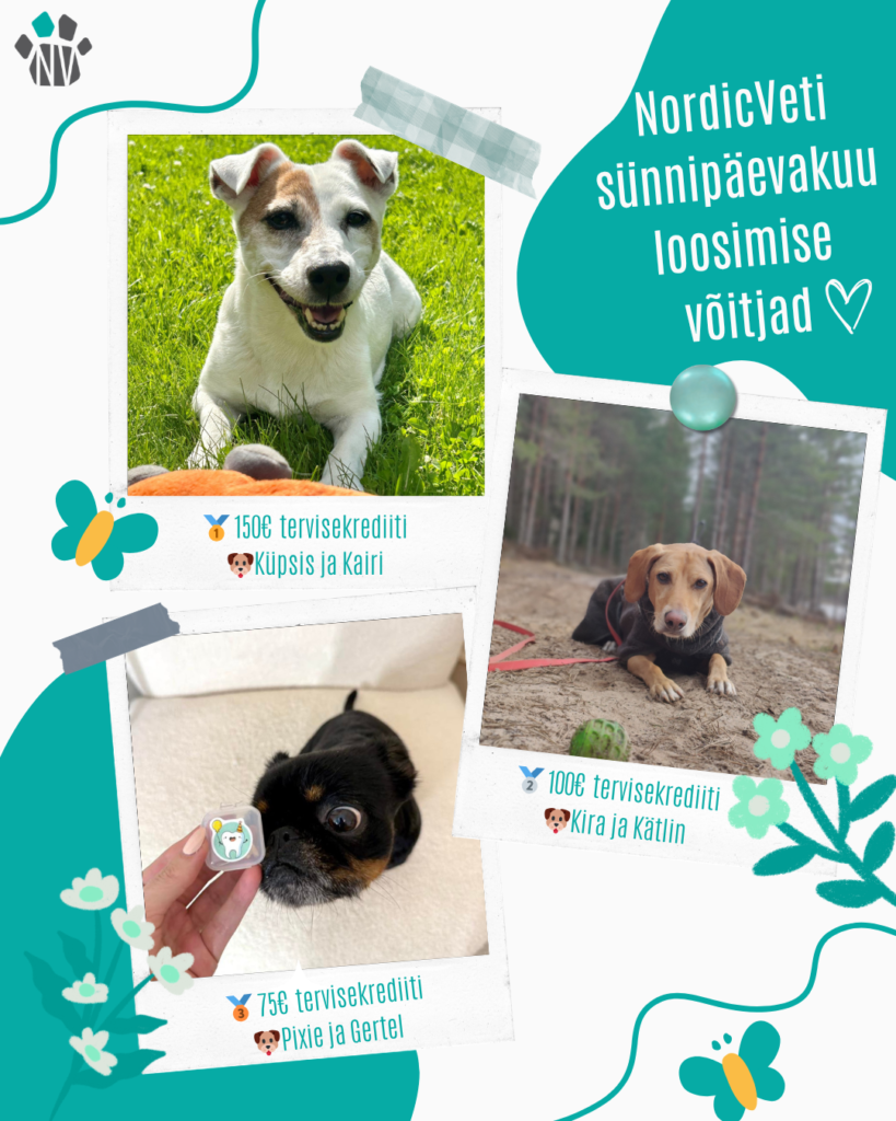 sünnipäeva loosimine