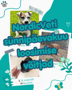nordicveti sünnipäev