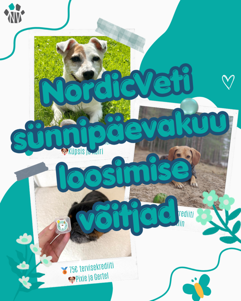 nordicveti sünnipäev