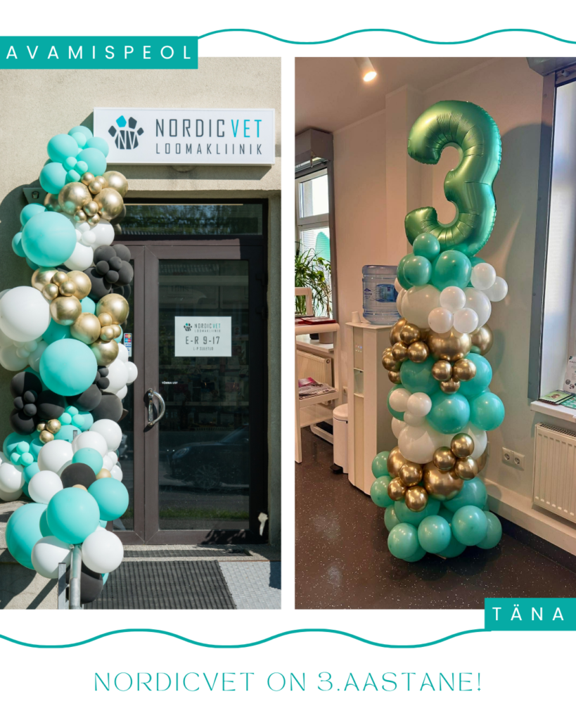 NordicVet loomakliinik 3. sünnipäev NordicVeti loomakliinik tähistas 3. sünnipäeva 17. aprillil ning see tähistas meie jaoks ühte olulist verstaposti – kolme aa