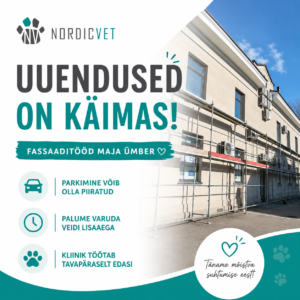 Uuendused NordicVetis – kliiniku ümber toimuvad fassaaditööd ja maja uuendamine.