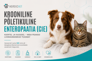 krooniline põletikuline enteropaatia