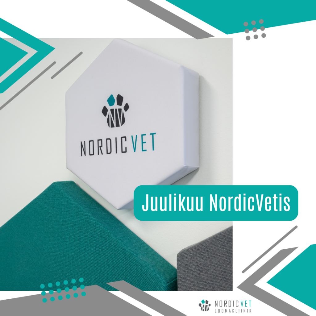 Juuli 2026 NordicVet loomakliinikus