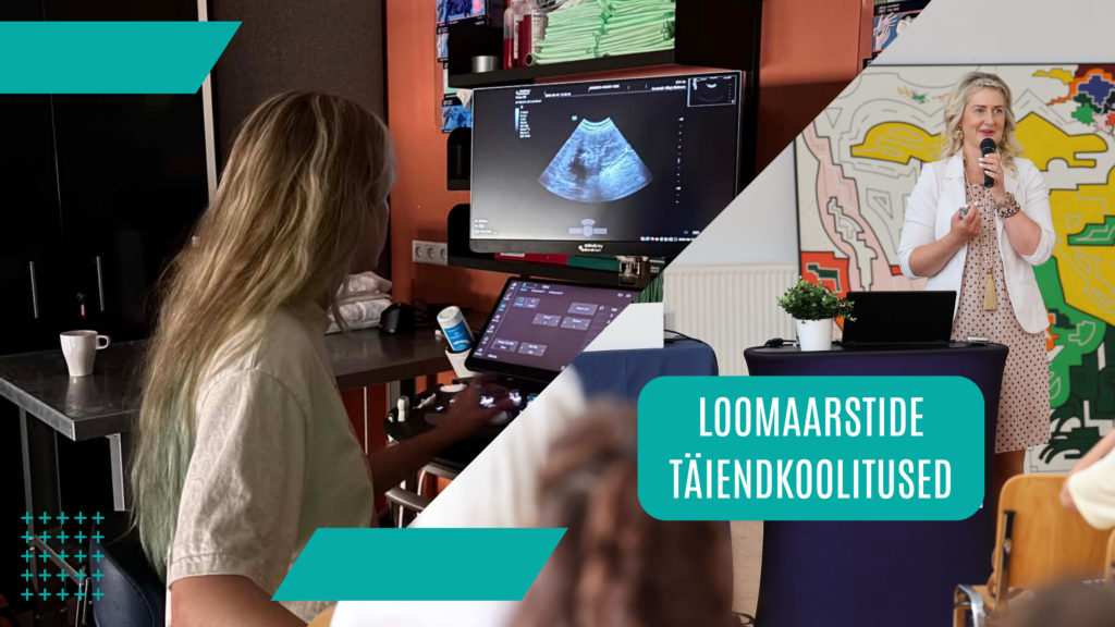 NordicVeti loomaarstide täiendkoolitus augustis