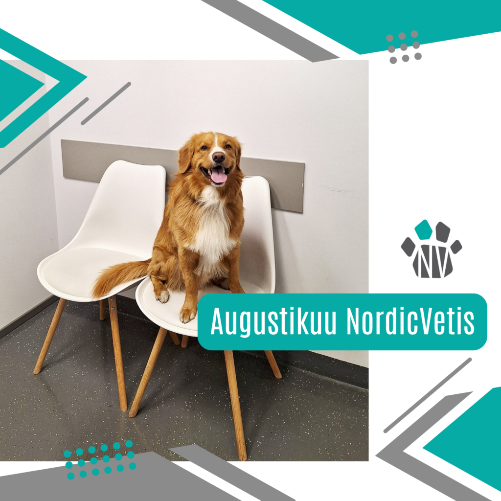 august nordicvetis