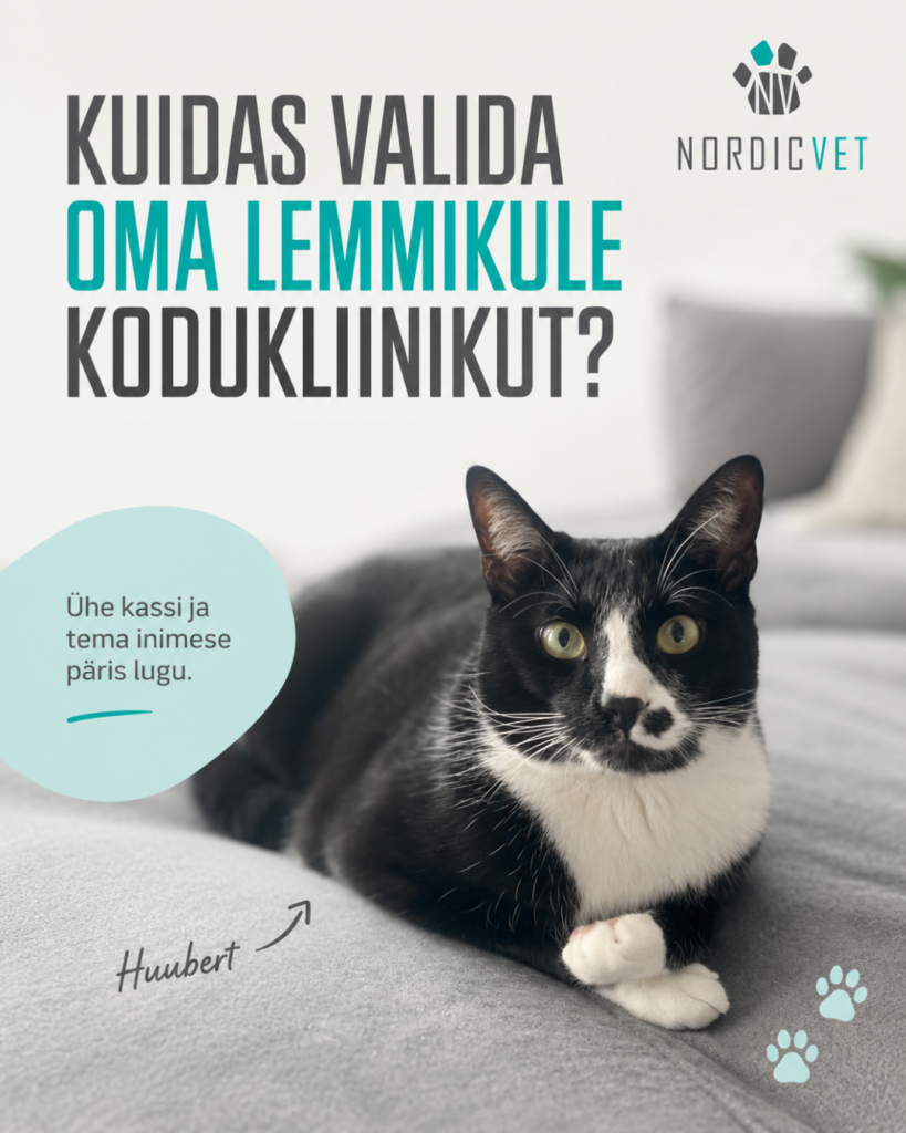 nordicveti kodukliinik